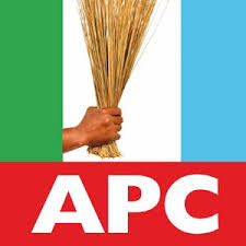 The Uselesness of Nigerian Political Parties | Adedunmade Onibokun