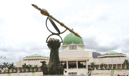 Can the President Disobey National Assembly Summons? – Nonso Anyasi
